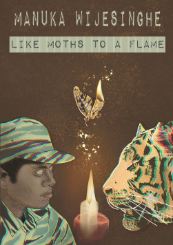 Like Moths to a Flame
