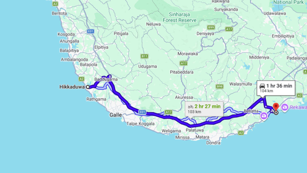 Sköldpaddungarna släpps fria från Tangalle