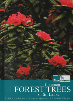 Common Forest Trees of Sri Lanka
