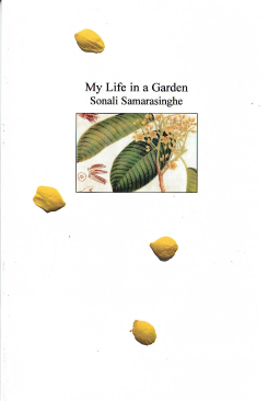 Life in a Garden