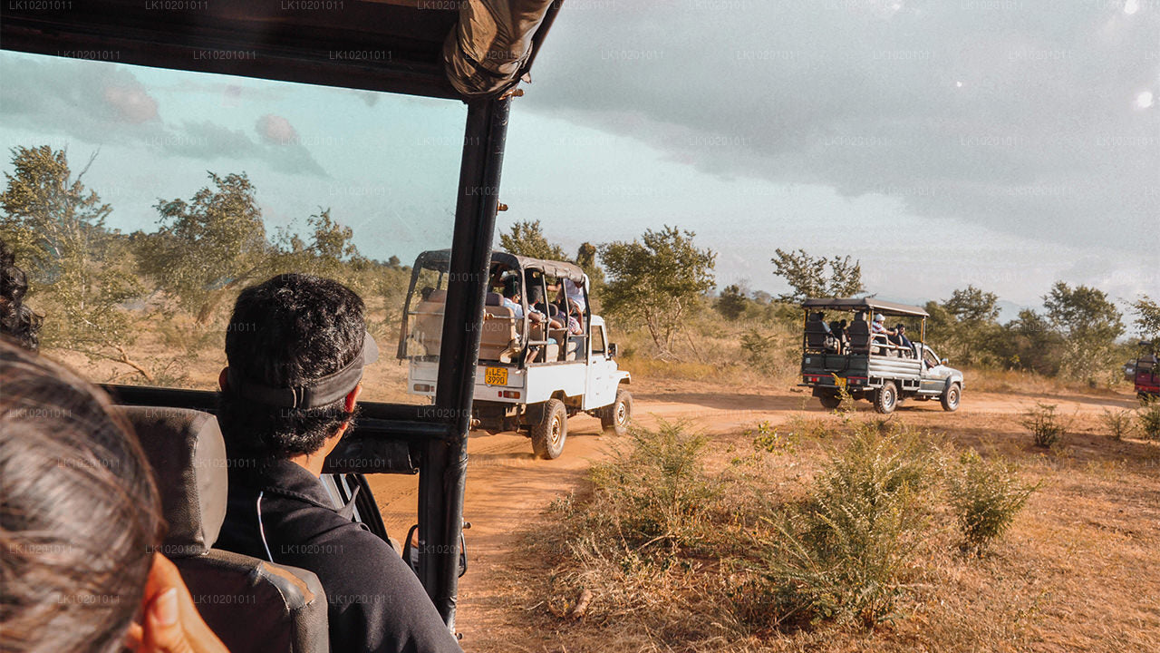 Udawalawe och Galle från Colombo (2 dagar)