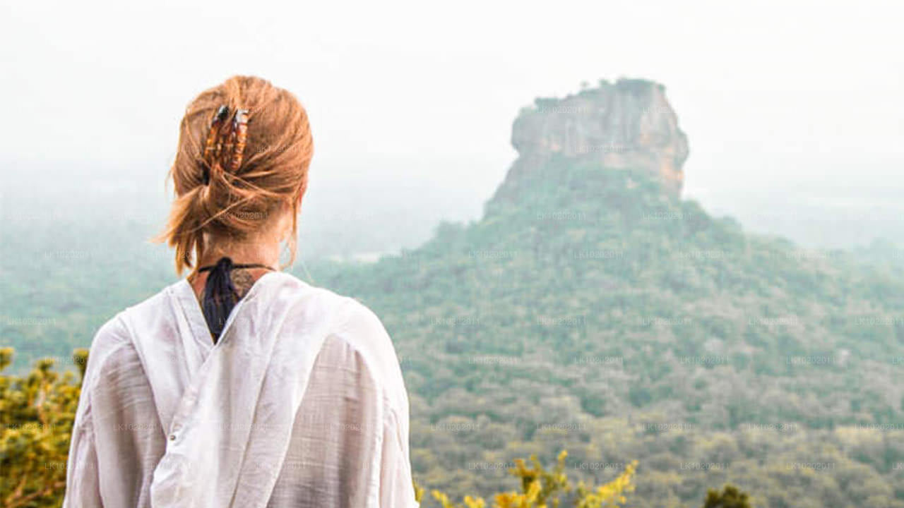 Sigirya och Minneriya från Colombo (2 dagar)