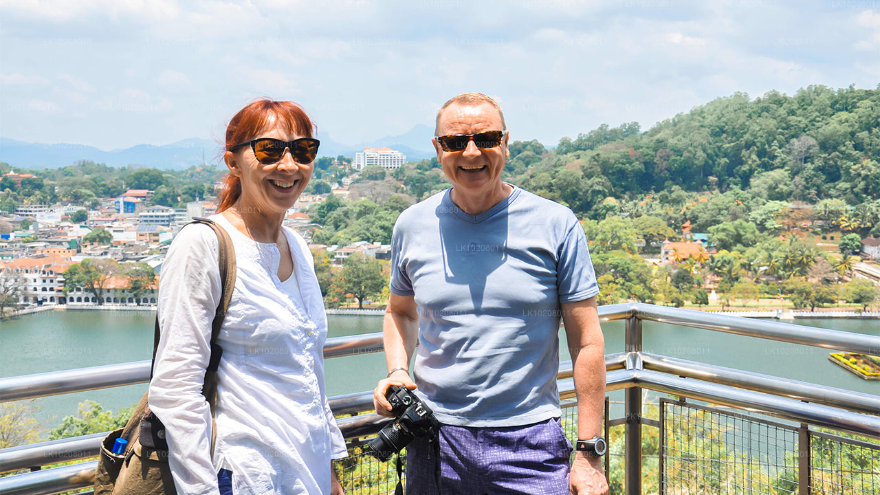 Kultur av kullarna från Colombo (2 dagar)