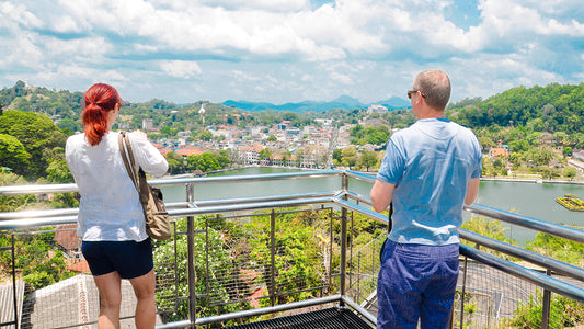 Kultur av kullarna från Colombo (2 dagar)