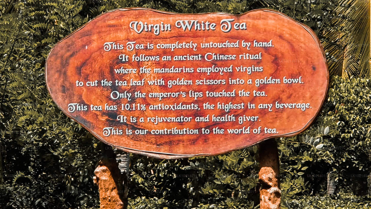 Ahangama och Mirissa från Bentota (2 dagar)