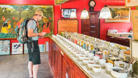 Ahangama och Mirissa från Bentota (2 dagar)