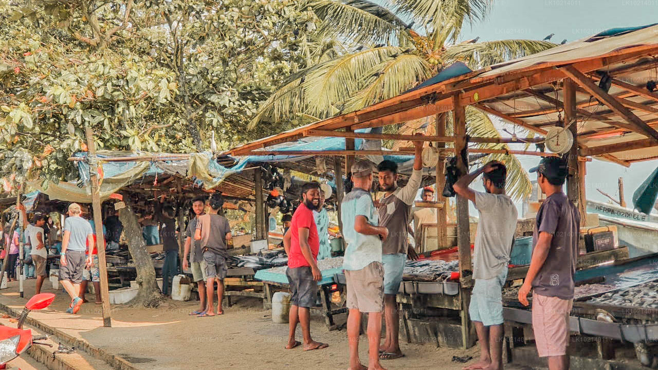 Ahangama och Mirissa från Bentota (2 dagar)