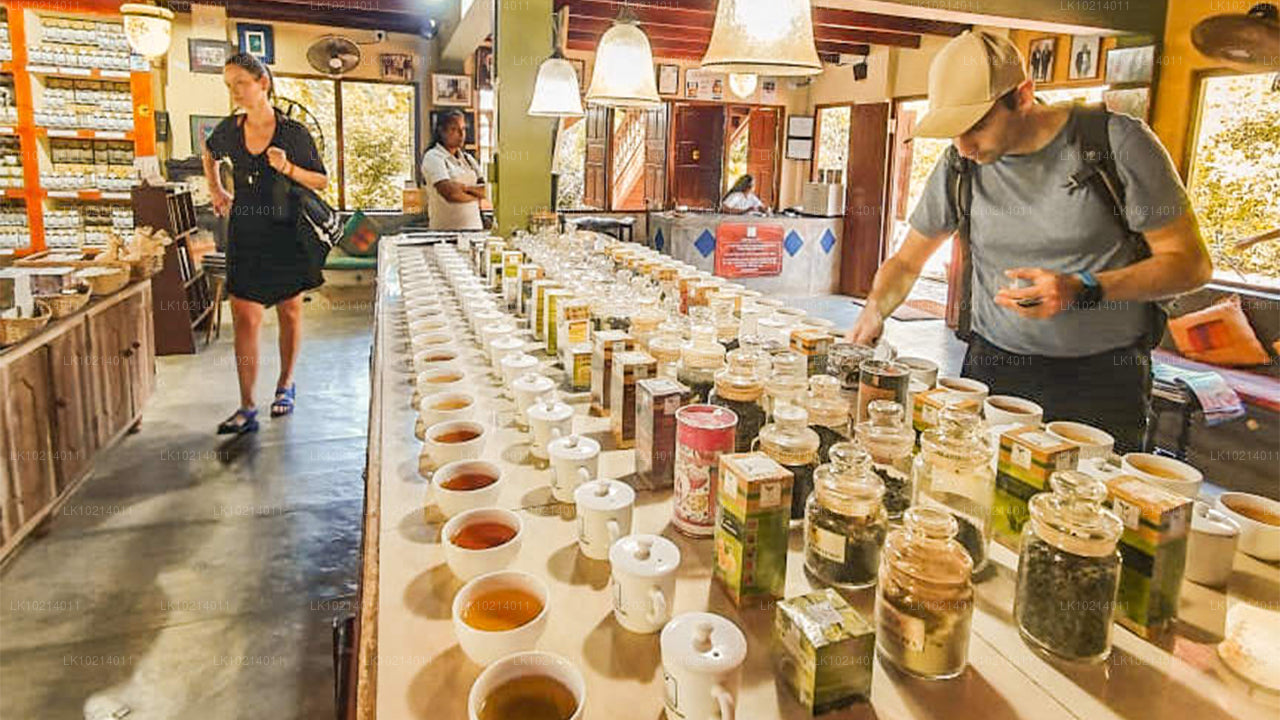 Ahangama och Mirissa från Bentota (2 dagar)