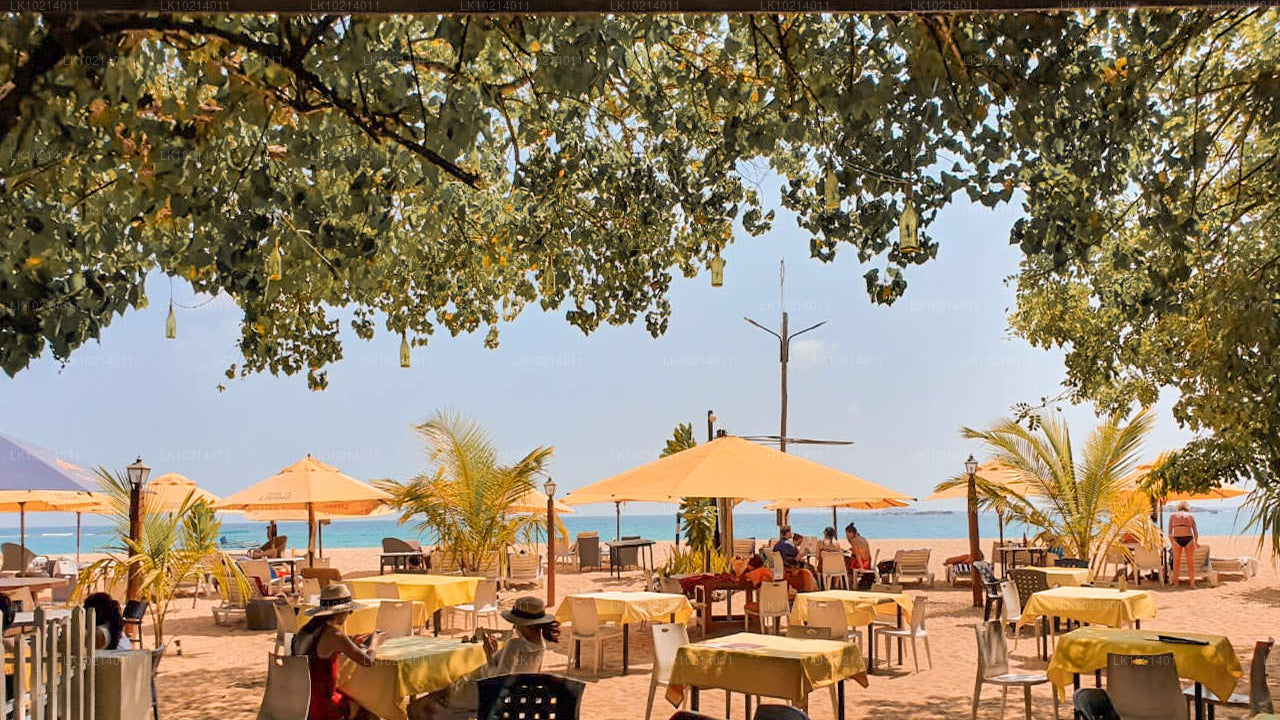 Ahangama och Mirissa från Bentota (2 dagar)