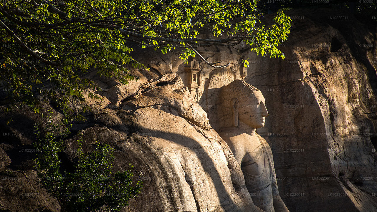 Ethos of Ceylon från Kandy (2 dagar)