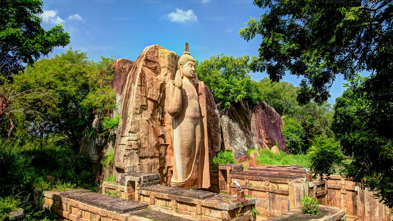 Ethos of Ceylon från Kandy (2 dagar)