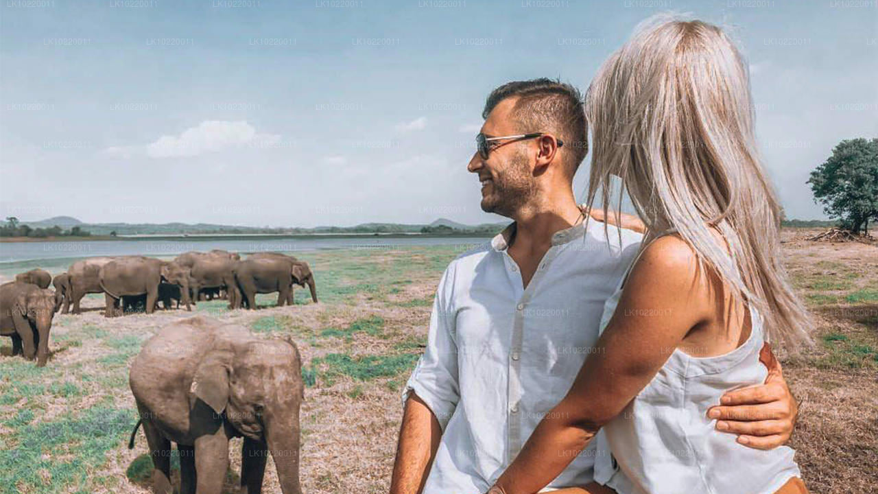 Ethos of Ceylon från Kandy (2 dagar)