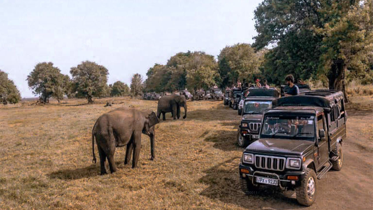 Ethos of Ceylon från Kandy (2 dagar)