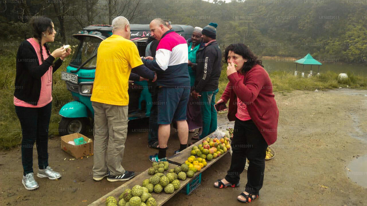 Highland Glory från Kandy (2 Dagar)