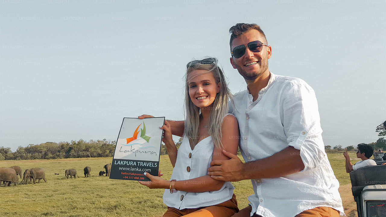 Sigirya och Minneriya från Negombo (2 dagar)