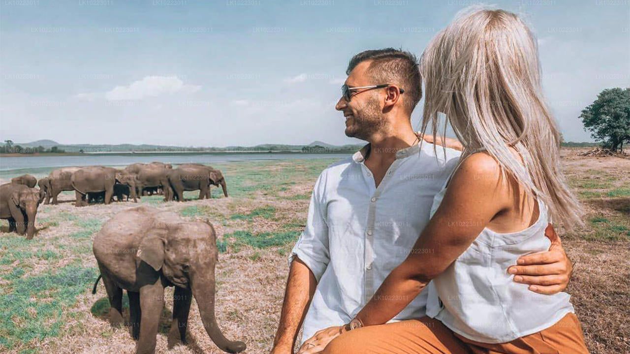 Sigirya och Minneriya från Negombo (2 dagar)