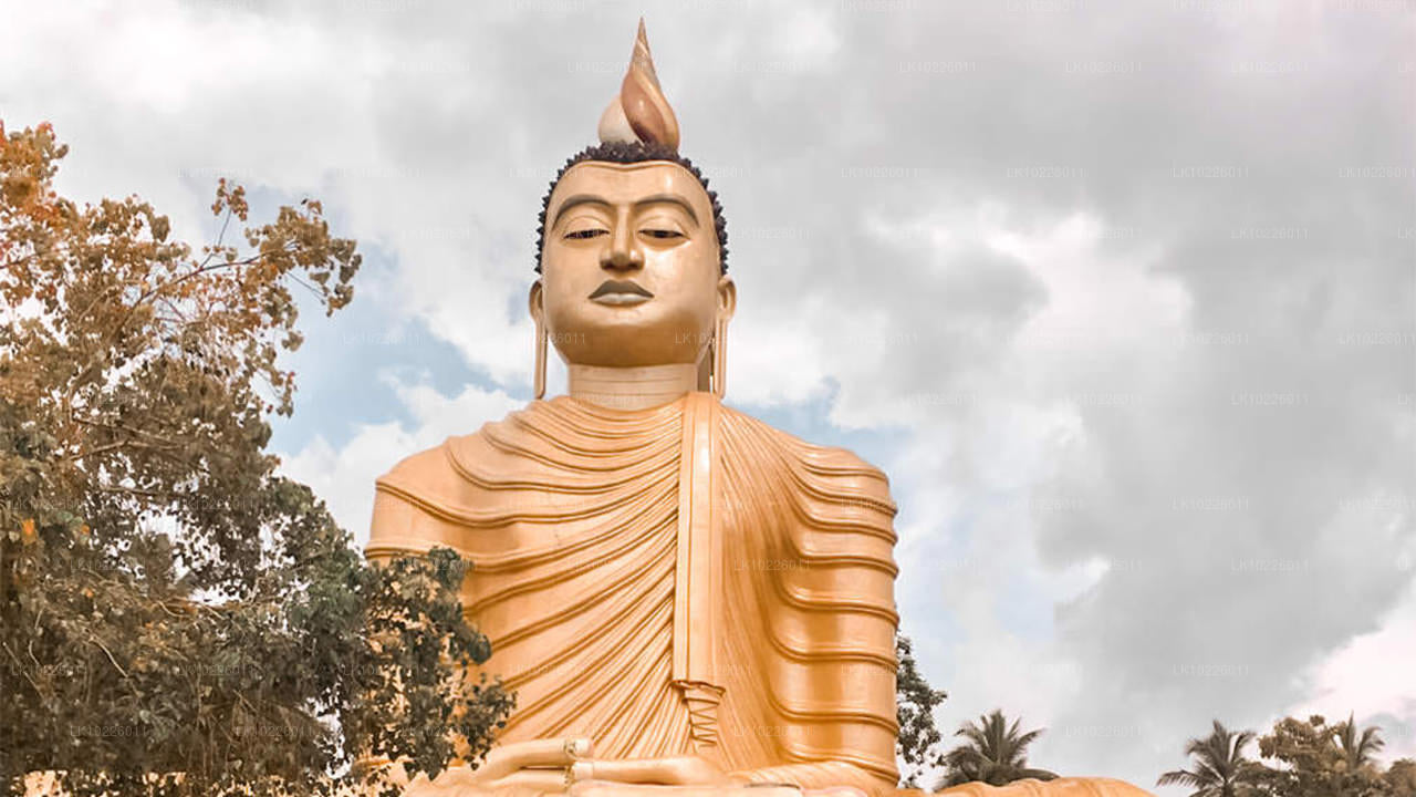 Tempel och vildmark från Negombo (2 dagar)
