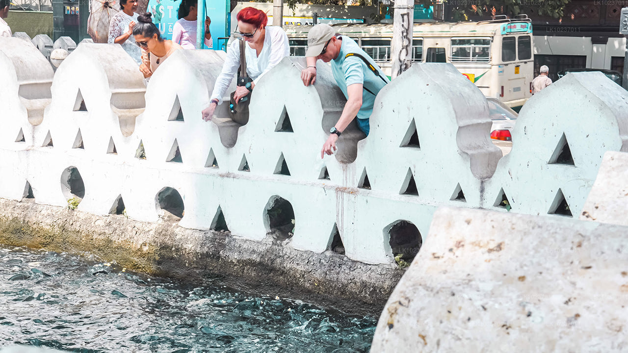 Kullarnas kulturtur från Galle (2 dagar)