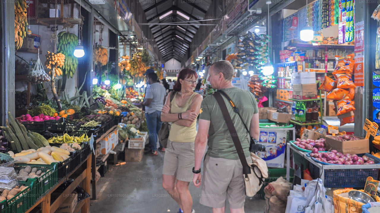 Dimmiga bergsleder från Galle (2 dagar)