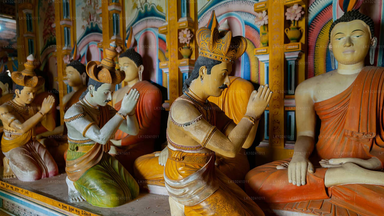 Udawalawe från Hikkaduwa (2 dagar)