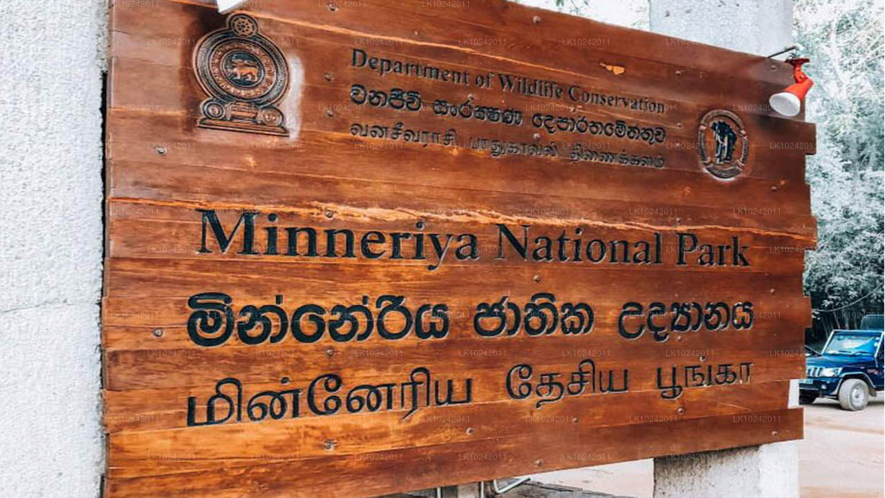 Forntida underverk från Colombo (2 dagar)