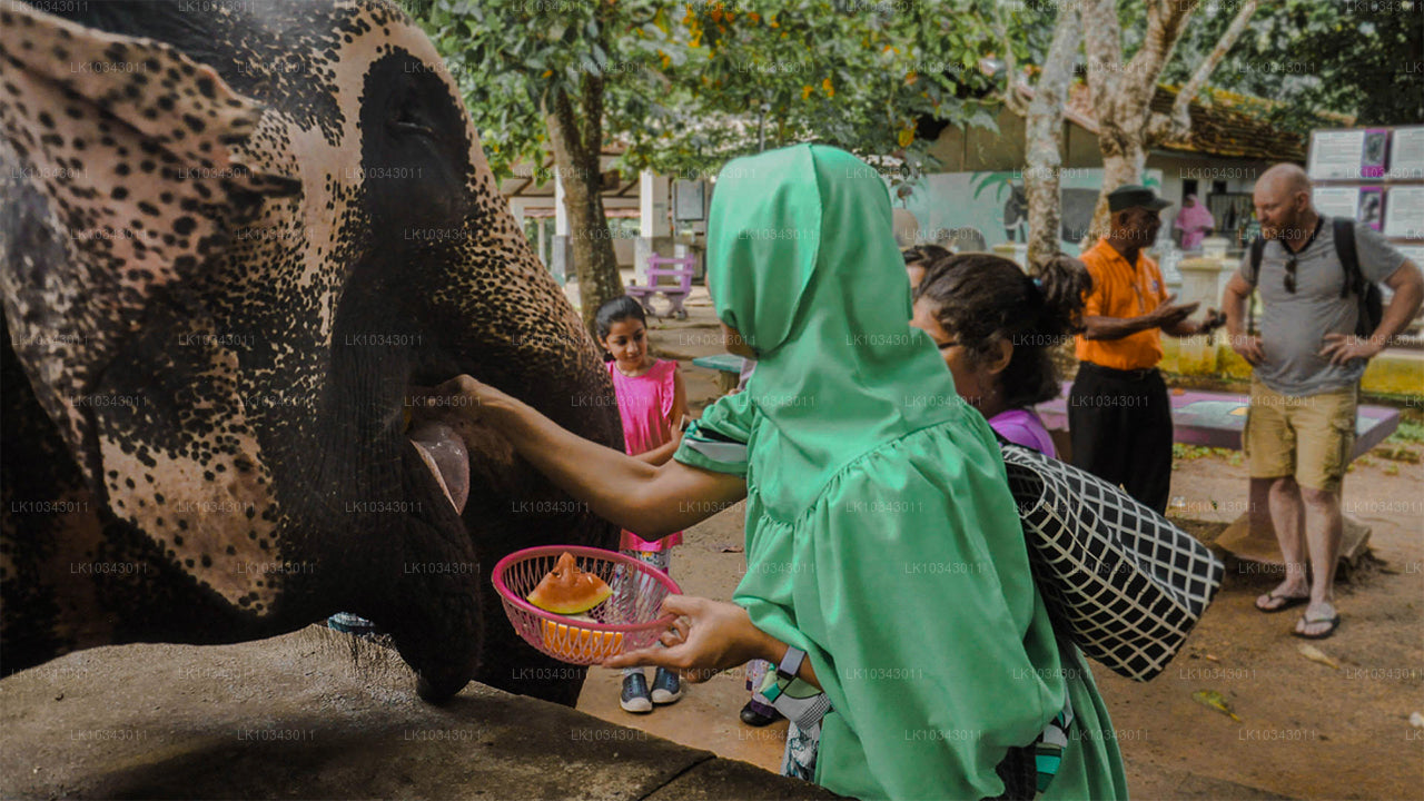 Wonder Island (3 Dagar)