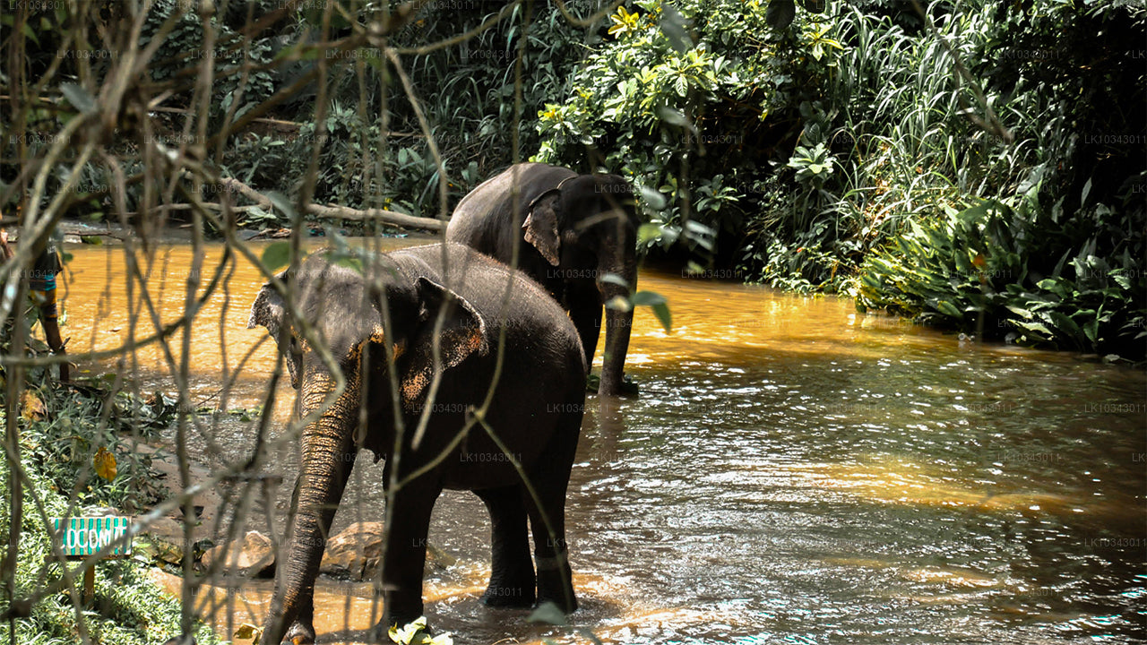 Wonder Island (3 Dagar)