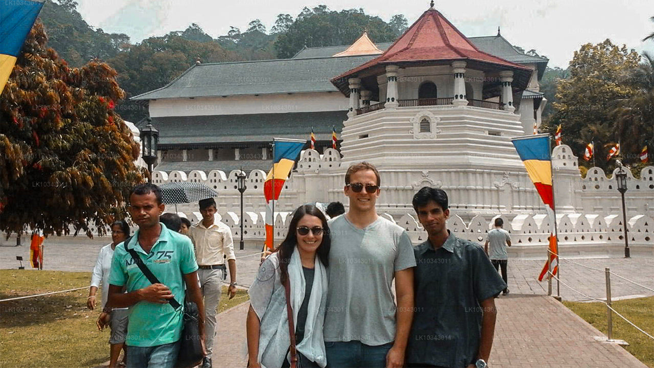 Wonder Island (3 Dagar)