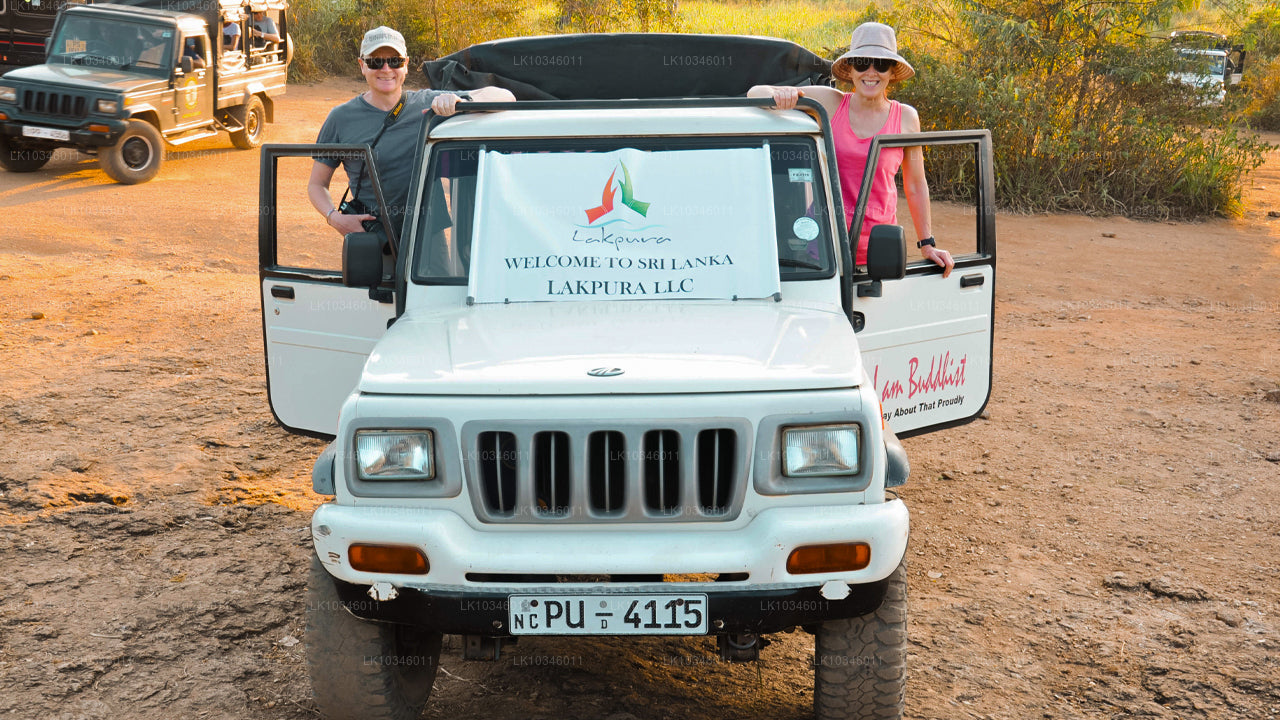 Tales of Ancient Ceylon från Colombo (3 dagar)