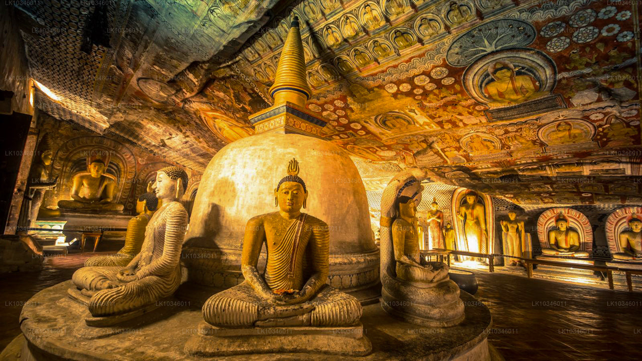 Tales of Ancient Ceylon från Colombo (3 dagar)