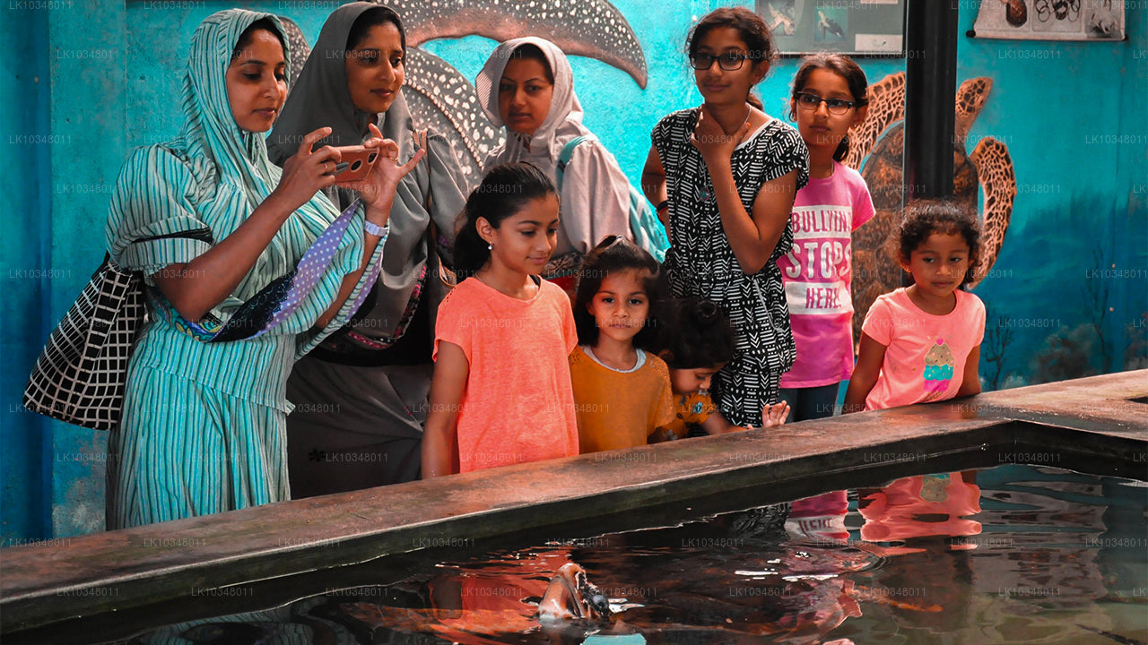 Mysigt Sri Lanka (3 Dagar)