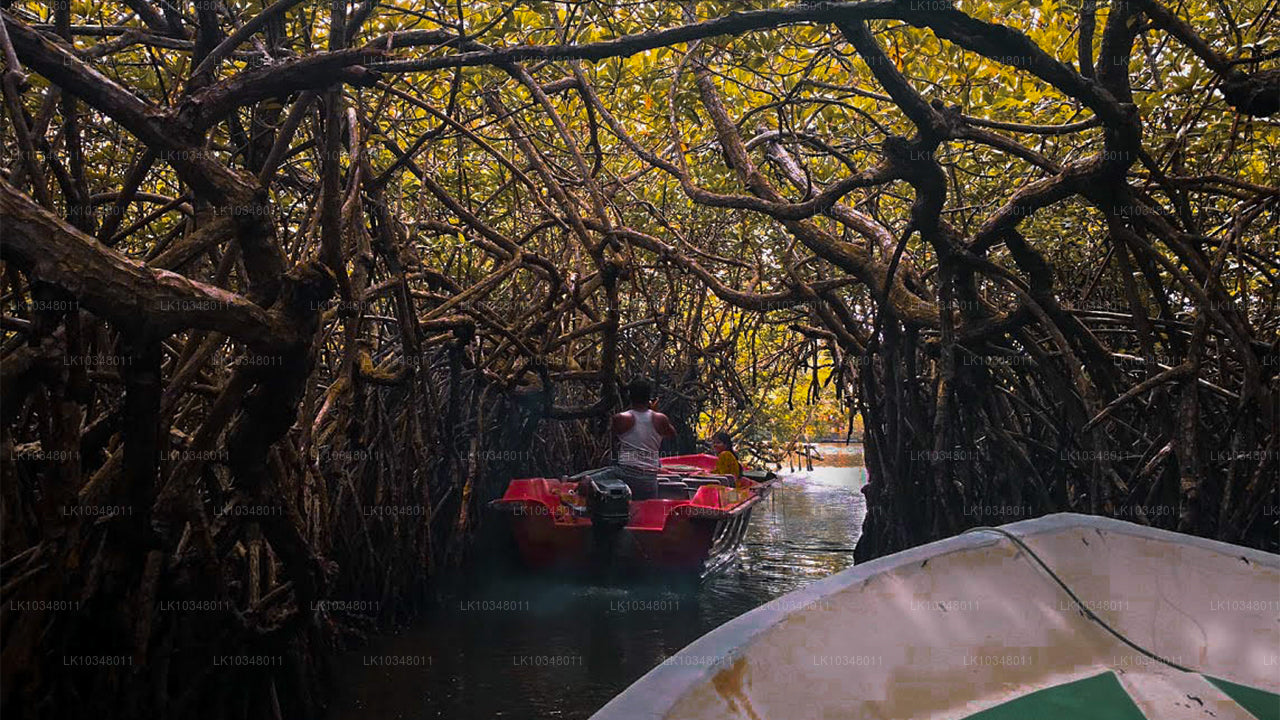 Mysigt Sri Lanka (3 Dagar)