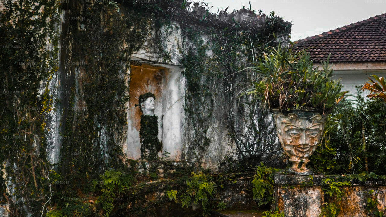 Mysigt Sri Lanka (3 Dagar)