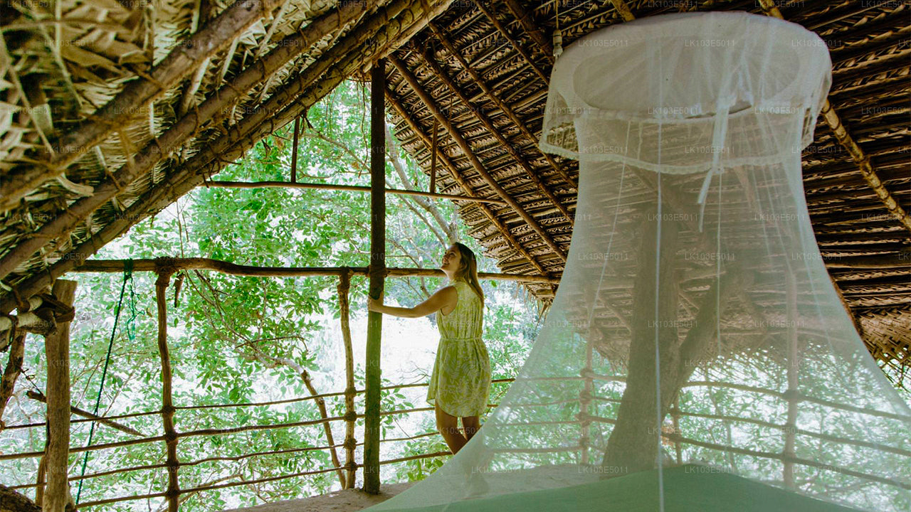 Eco Tours i Sri Lanka (3 Dagar)