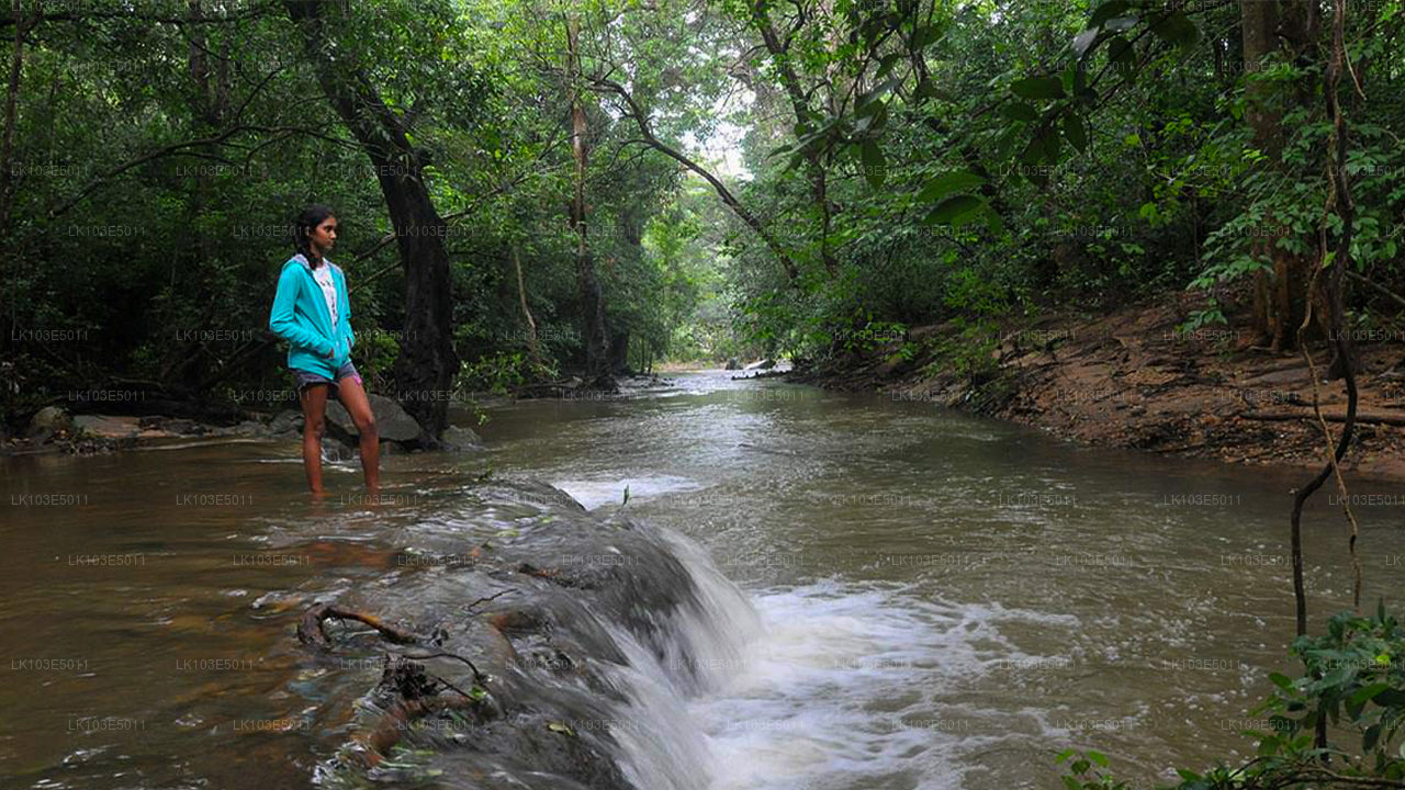 Eco Tours i Sri Lanka (3 Dagar)