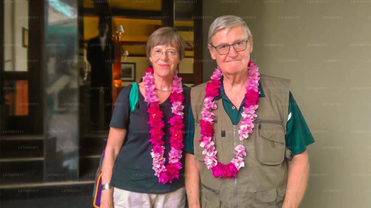 Runt Lanka från Colombo (4 dagar)