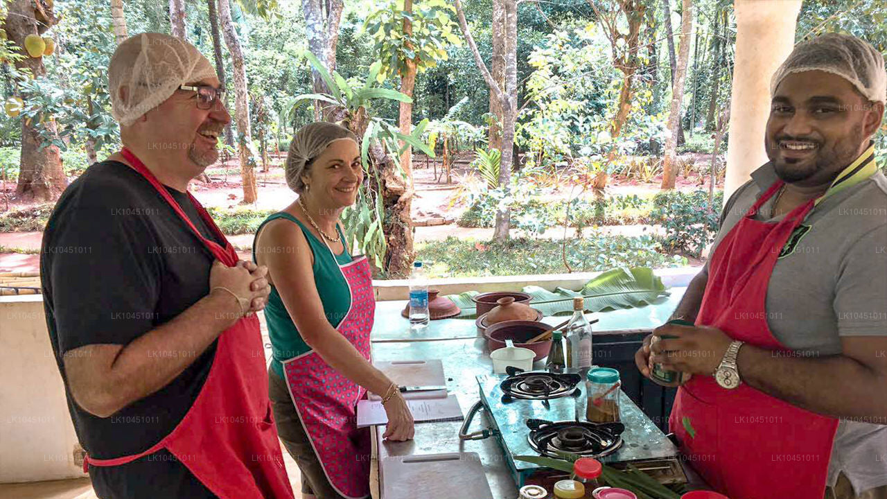 Runt Lanka från Colombo (4 dagar)