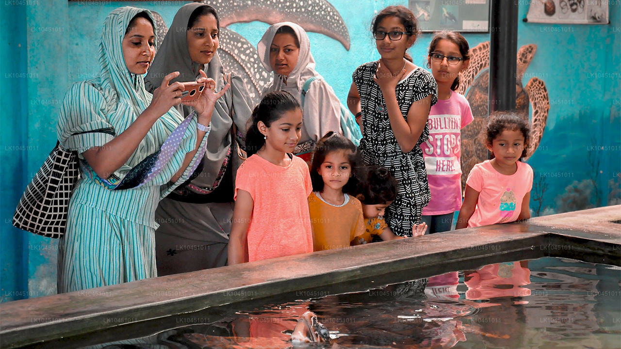 Runt Lanka från Colombo (4 dagar)