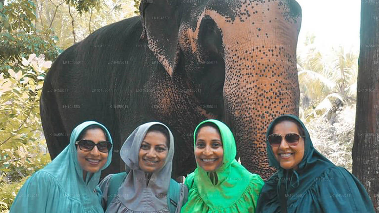 Sri Lanka Aborigine Tour (4 Dagar)