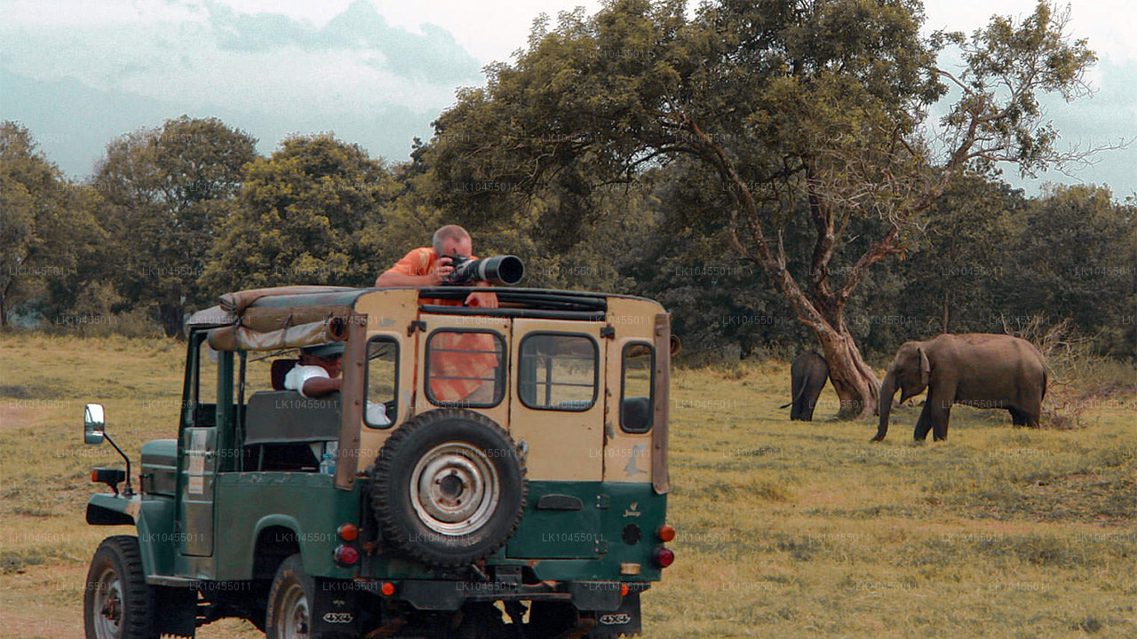 Sri Lanka Aborigine Tour (4 Dagar)