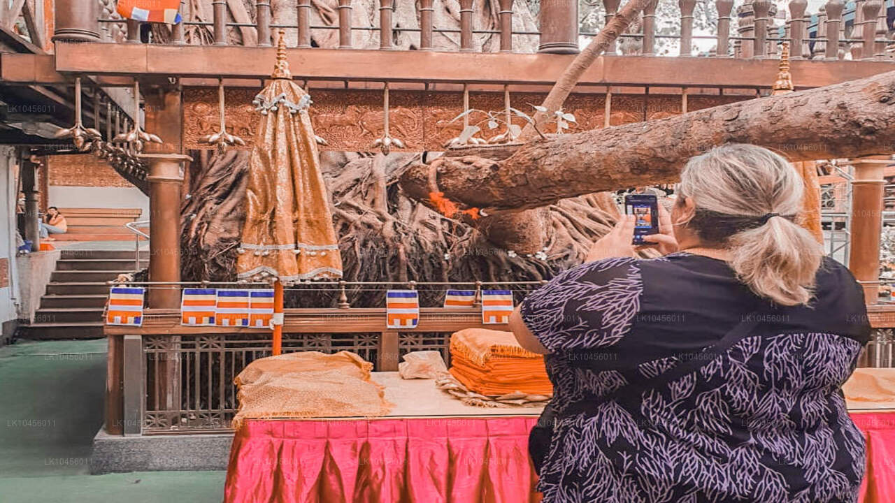 Snabb stadsresa (4 dagar)