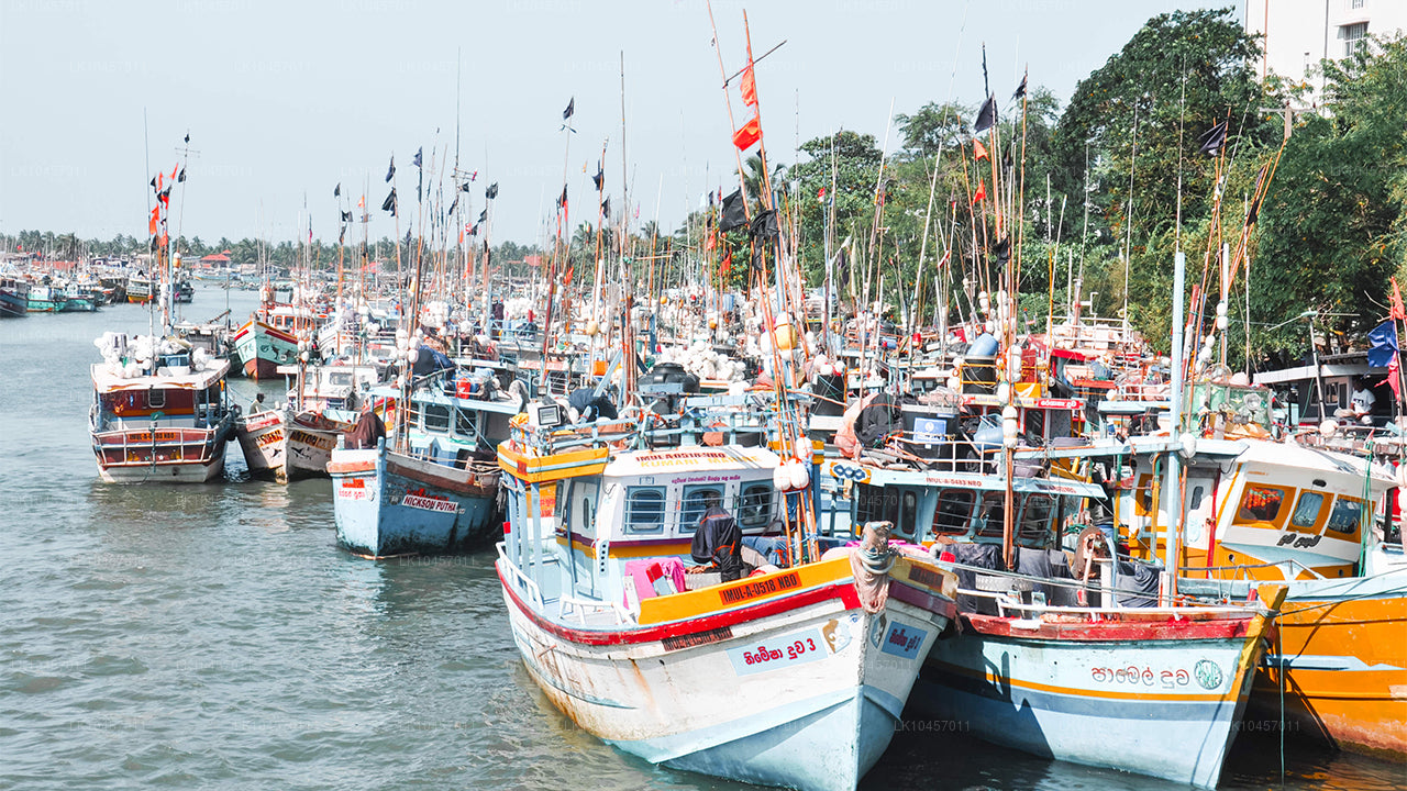 Stranden och staden (4 dagar)