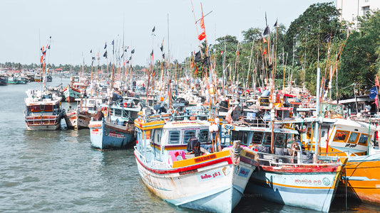 Stranden och staden (4 dagar)
