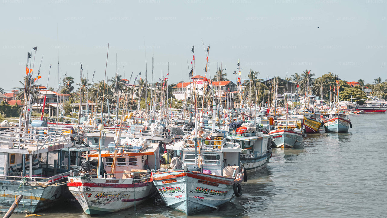 Stranden och staden (4 dagar)
