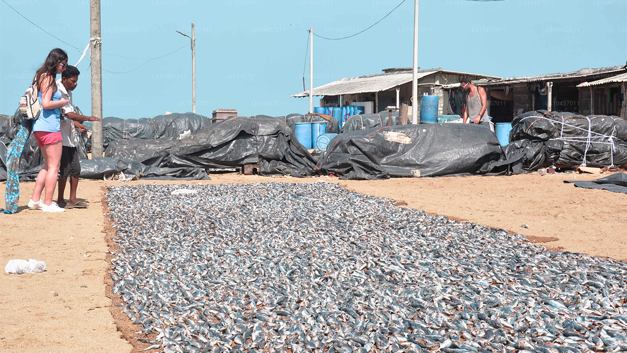 Stranden och staden (4 dagar)