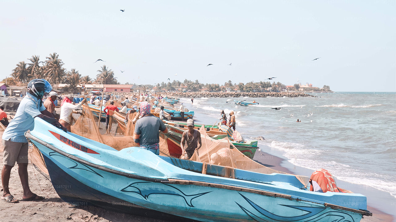 Stranden och staden (4 dagar)