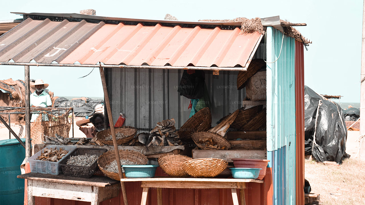 Stranden och staden (4 dagar)