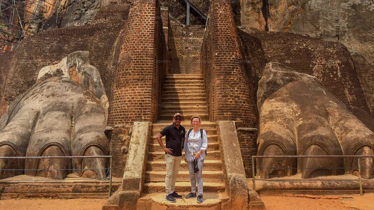 Kustbältet i söder (5 dagar)