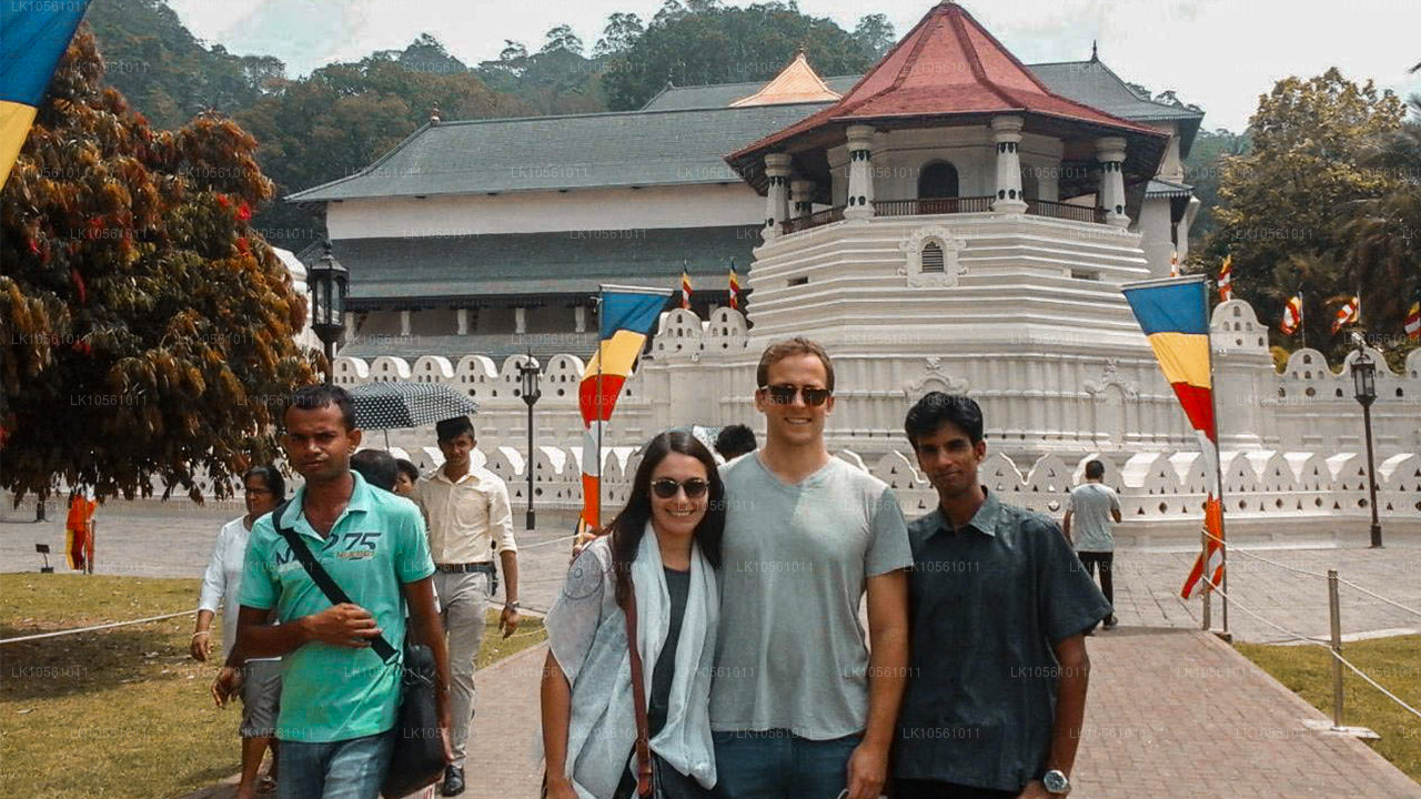 Ön av Wonder (5 dagar)