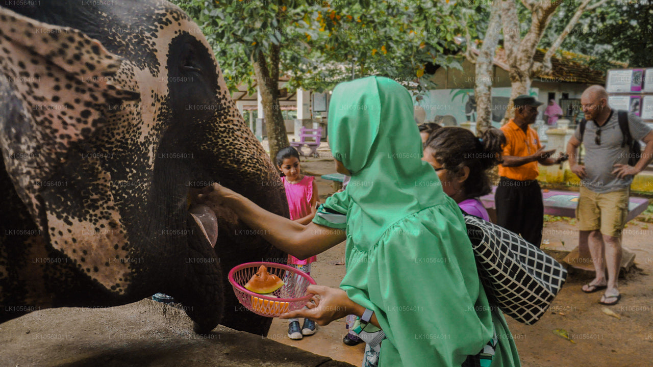 Sevärdheter i Sri Lanka (5 dagar)